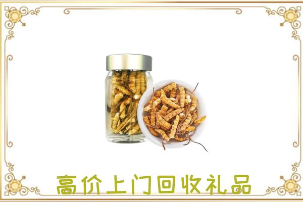 琼山区周边回收虫草